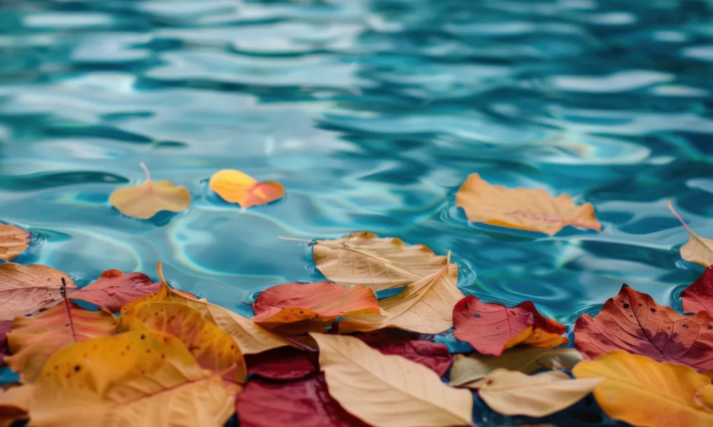 Leaves and debris floating on pool water before cleaning